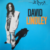 David Lindley - El Rayo X (Vinyl)