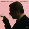 Antonio Carlos Jobim - Stone Flower (Test Pressing) - Vinyl Audiophile