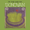 Donovan The Hurdy Gurdy Man - Audiophile