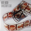 Kate Bush – Director's Cut (2LP) - Audiophile