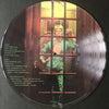 Davie Bowie - The Rise and Fall of Ziggy Stardust and the Spiders from Mars (picture disc, unsealed) AUDIOPHILE