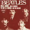 The Beatles - The Singles (23 LPs, 7'' LPs, 45RPM, Mono & Stereo, Box set, Japanese Edition) - AudioSoundMusic