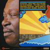 B.B. King – Completely Well (Translucent gold vinyl) - AudioSoundMusic