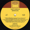 Marvin Gaye - What's Going On - 50th Anniversary Edition (2LP, Mono & Stereo, Tamla) - AudioSoundMusic