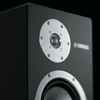 Stand Speakers Yamaha NS-3000