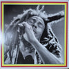 Bob Marley and The Wailers - Uprising (45RPM, Analogue Production) - Audiophile