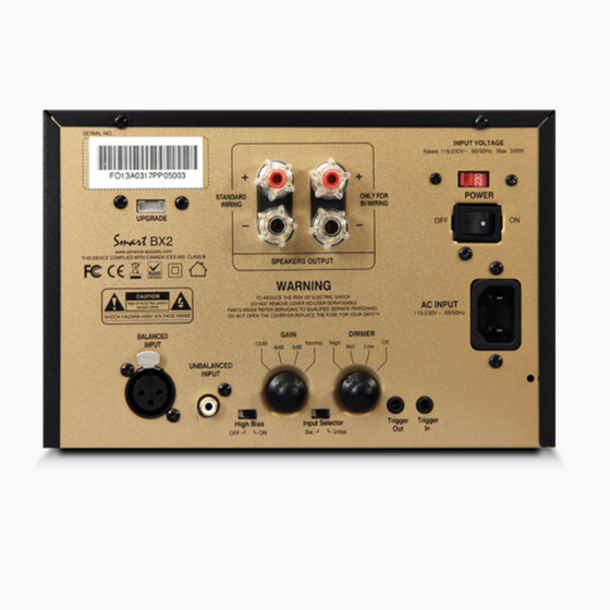 Pre-owned Mono Amplifier Advance BXII