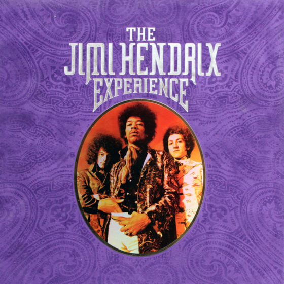 The Jimi Hendrix Experience ‎– The Jimi Hendrix Experience (Box Set , 8LP, Compilation) - RARITY - Audiophile