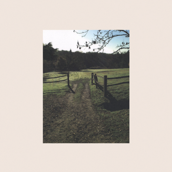 Eric Clapton – Old Sock (2LP) - Audiophile