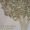 Bright Eyes – I'm Wide Awake, It's Morning - Audiophile