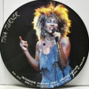 Tina Turner ‎– Interview Picture Disc (Picture Disc, Unofficial release, Limited Edition)