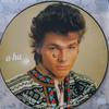 a - ha : ‎ Interview Picture Disc (Picture Disc, Unofficial release, Limited Edition)