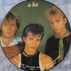 a - ha : ‎ Interview Picture Disc (Picture Disc, Unofficial release, Limited Edition)