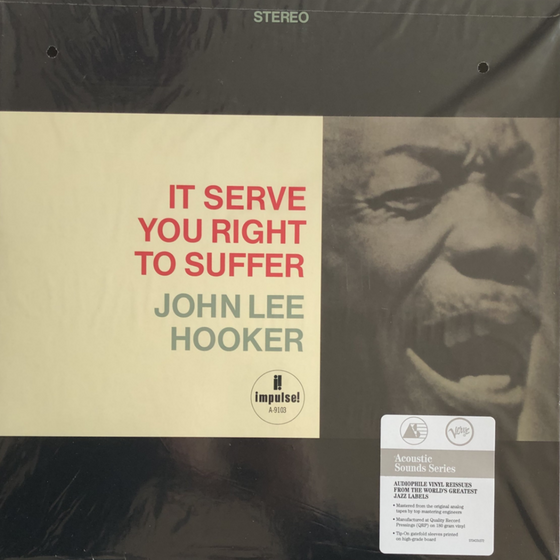 John Lee Hooker - It Serve You Right To Suffer