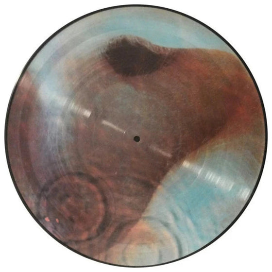 Pink Floyd – Meddle (picture disc)