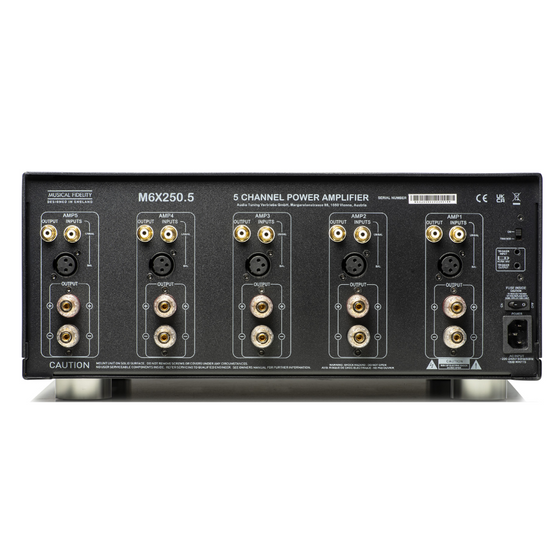 Solid State Power Amplifier MUSICAL FIDELITY M6x 250.5