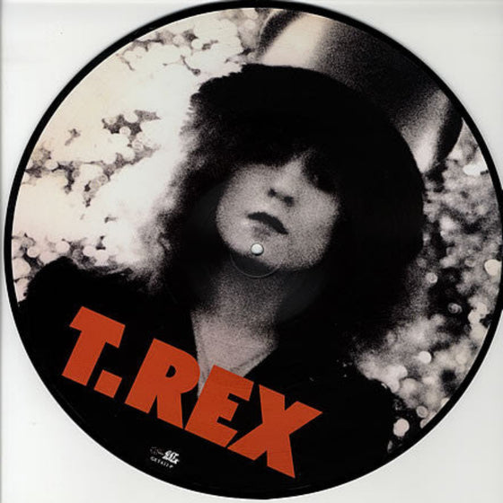 T. Rex – The Slider 