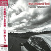 Tsuyoshi Yamamoto Trio - What A Wonderful World