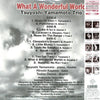 Tsuyoshi Yamamoto Trio - What A Wonderful World