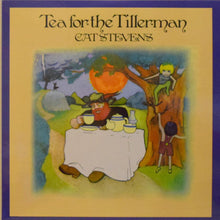  Cat Stevens – Tea For The Tillerman (2LP, 45RPM, 200g) - AudioSoundMusic