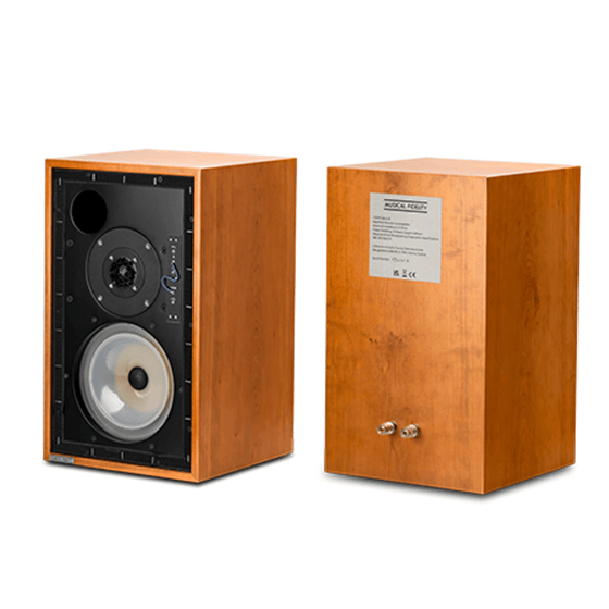 Stand Speakers Musical Fidelity LS 5/9 - AudioSoundMusic