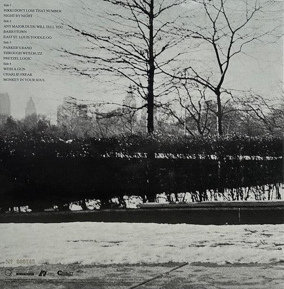 Steely Dan - Pretzel Logic (2LP, Box set, 45RPM, UHQR, 200g, Clear vinyl) - AudioSoundMusic