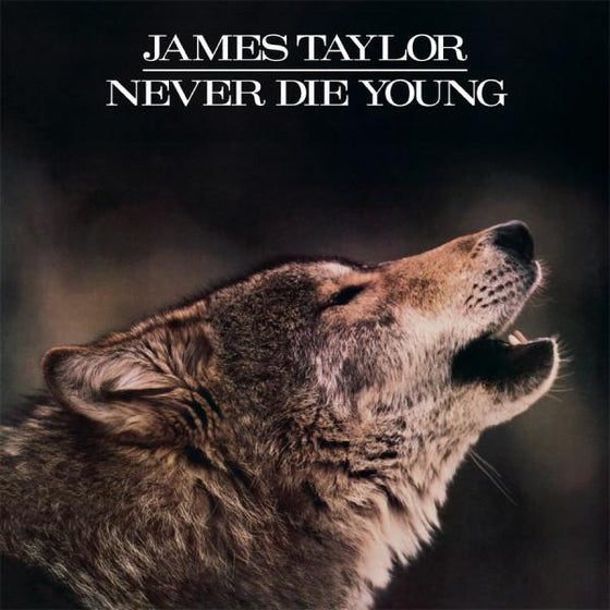 <transcy>James Taylor - Never Die Young</transcy>