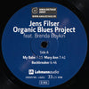 Jens Filser Organic Blues Project Featuring Brenda Boykin – Live 2021 (Half-speed Mastering)