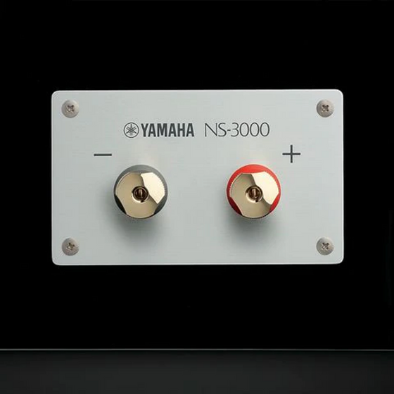 <tc>Enceintes de bibliothèque - Yamaha SPS-3000</tc>