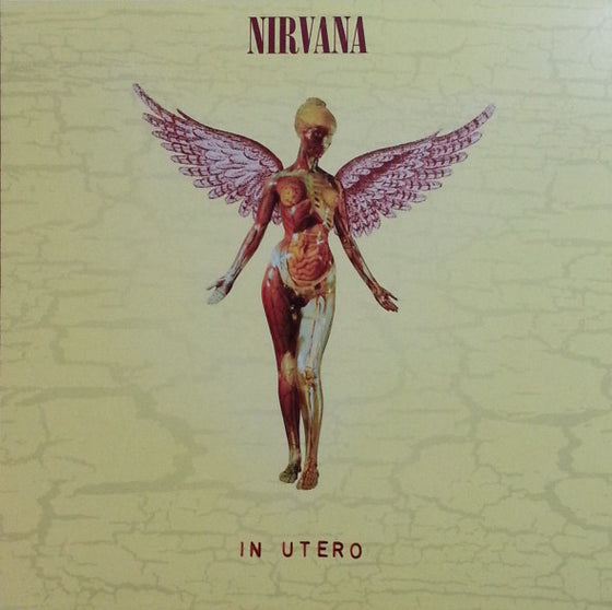 <transcy>Nirvana - In Utero</transcy>