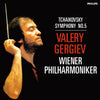 <transcy>Tchaïkovski - Symphonie n° 5 - Valery Gergiev</transcy>