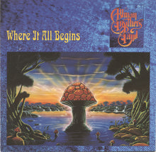  The Allman Brothers Band - Where It All Begins (2LP, Translucent Blue & Black Swirl vinyl)