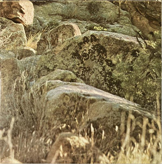 Dave Mason - Alone Together (Marble vinyl) - AudioSoundMusic