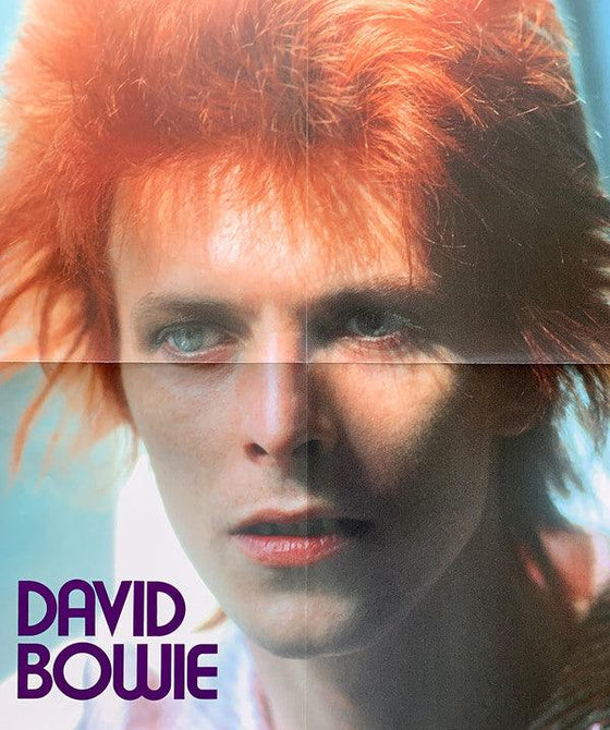 David Bowie - Space oddity (Picture Disc) - AudioSoundMusic
