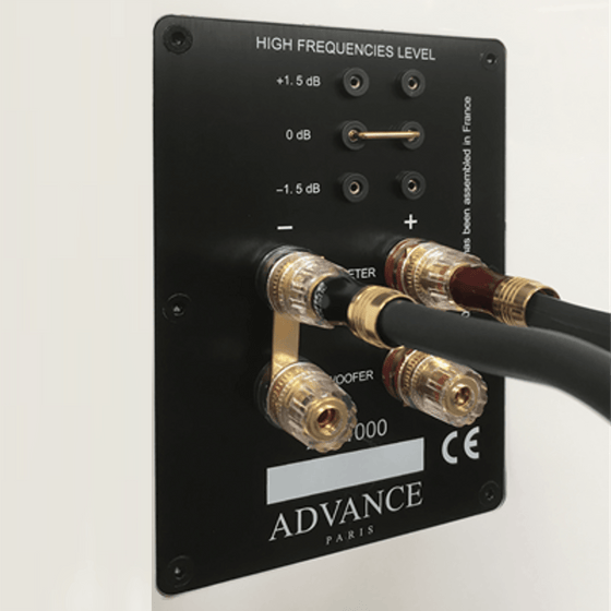 Loud Speakers Advance XL-500 EVO - AudioSoundMusic