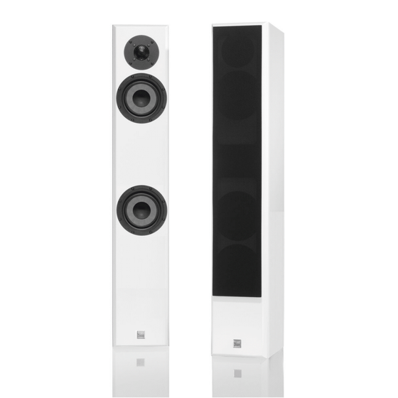 Loud Speakers Vienna Acoustics Mozart Infinity 
