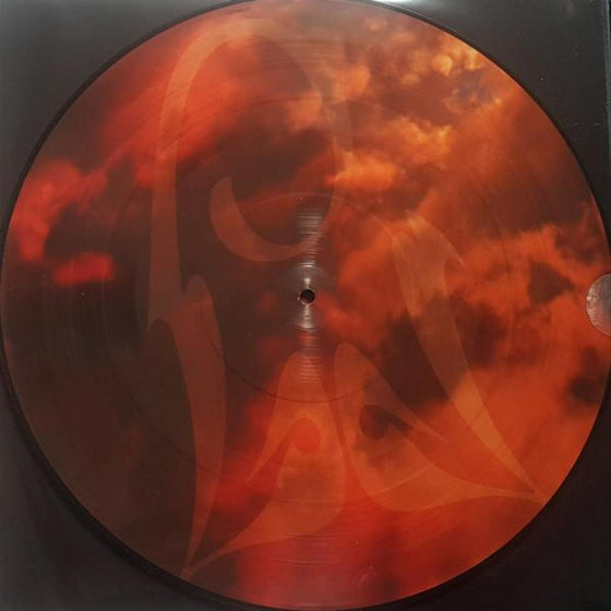 Michael Jackson - HIStory Continues (2LP, Picture Disc) - AudioSoundMusic