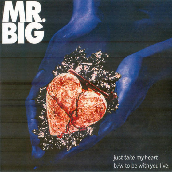 Mr. Big – Lean Into It - The singles (5 x 7'' individually colored vinyl, 45RPM, Box set) - AudioSoundMusic