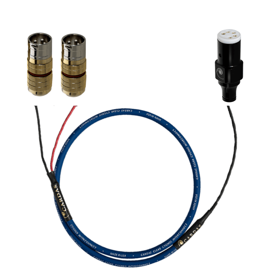 Phono cable - Cardas Clear Cygnus - 5P Straight to XLR (1.25 to 3.0m) - AudioSoundMusic