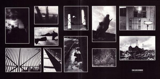 Pink Floyd – Animals (2018 Remix) - AudioSoundMusic