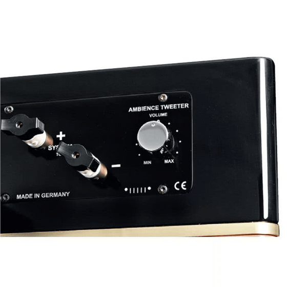 Pre-Owned Speakers Radialstrahler mbl 101 X-treme (black) - AudioSoundMusic