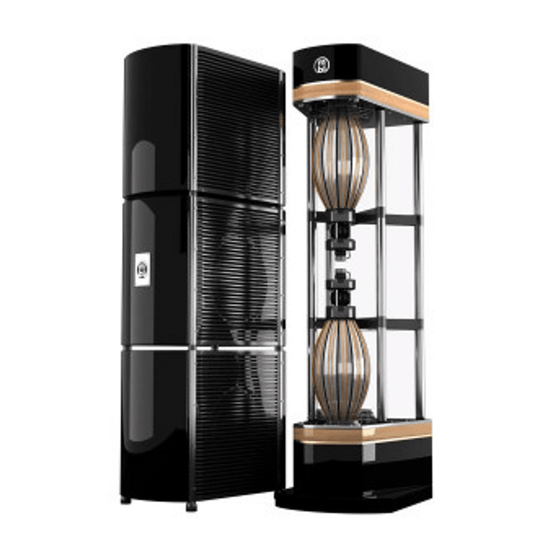Pre-Owned Speakers Radialstrahler mbl 101 X-treme (black) - AudioSoundMusic