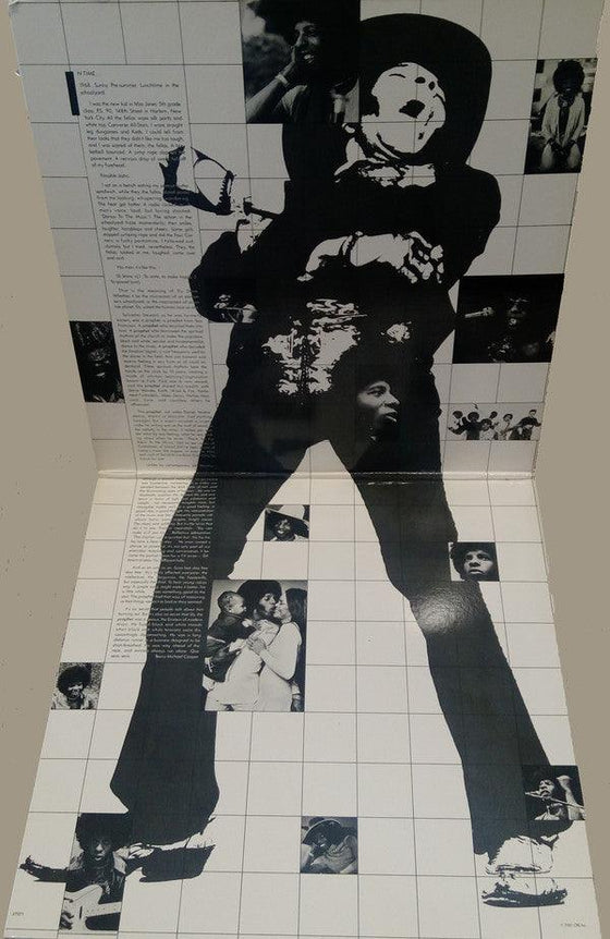 Sly & The Family Stone - Anthology - Greatest Hits (2LP, Black White & Gray Swirl vinyl) - AudioSoundMusic