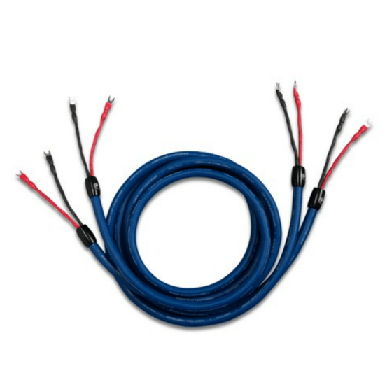 Speaker cable - Cardas Clear Cygnus - Spade to spade (3.0 to 5.0m) - AudioSoundMusic