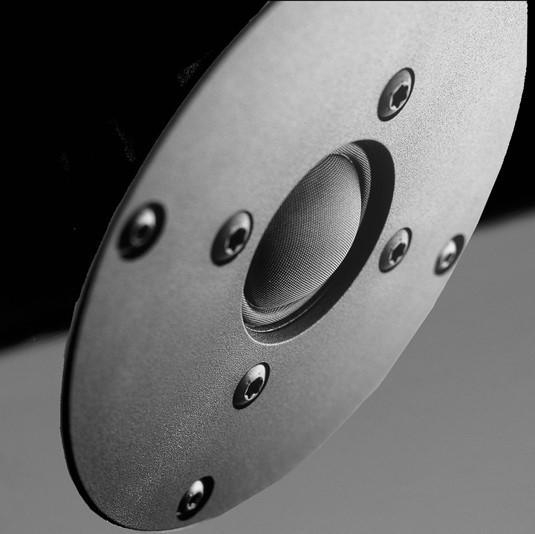 Stand Speakers Vienna Acoustics Haydn Jubilee Black - AudioSoundMusic