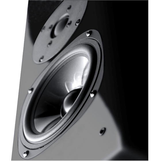 Stand Speakers Vienna Acoustics Haydn Jubilee Black - AudioSoundMusic