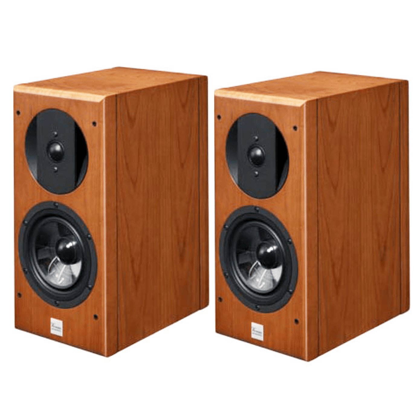Stand Speakers Vienna Acoustics Haydn Symphony Edition