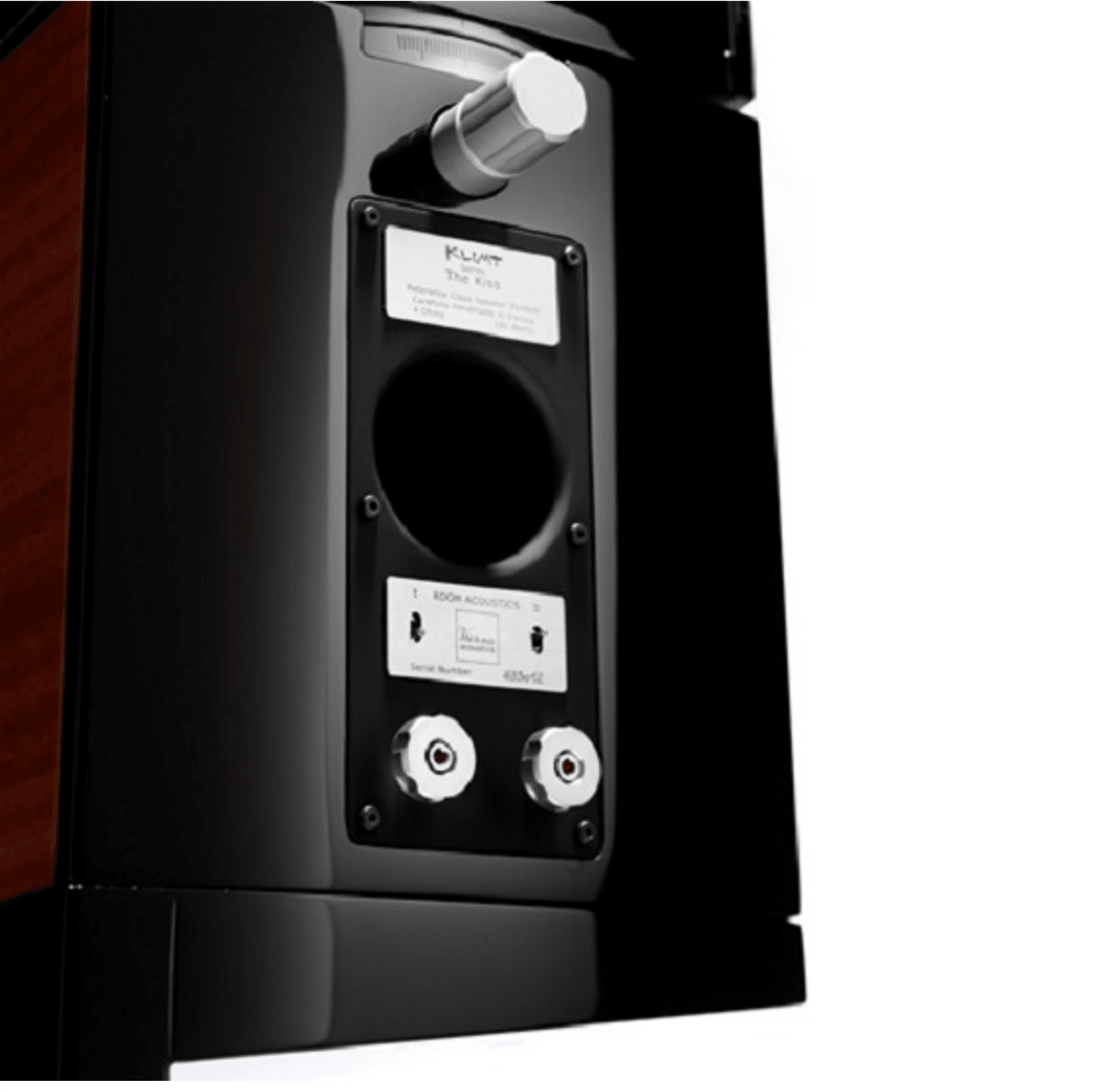 Stand Speakers Vienna Acoustics The Kiss – AudioSoundMusic
