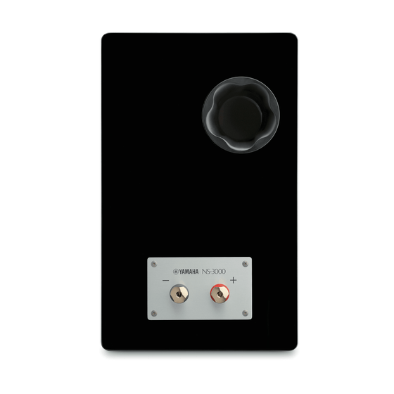 Stand Speakers Yamaha NS-3000