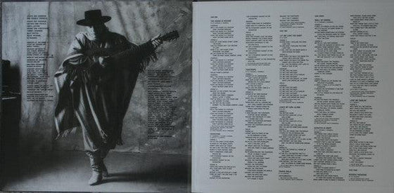 Stevie Ray Vaughan - In Step (2LP, 200g, 45RPM) - AudioSoundMusic